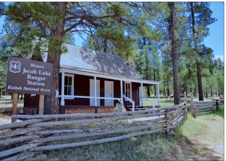 #10 - U.S. Forest Service